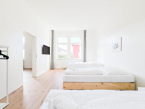 Hochfeld Apartment | Tolstov Apartments - Several 1 Room Fitter Apartments with kitchen and washing machine - 25 Min Messe DUS