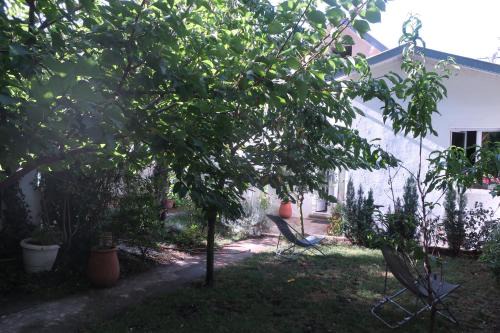 Guilhemery House | Toulousaine arborée - parking public