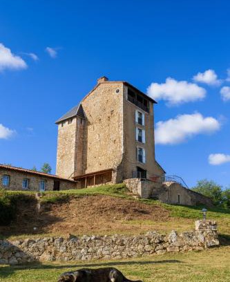 Montegut Bed & Breakfast | Tour Médievale Privée Château Montegut