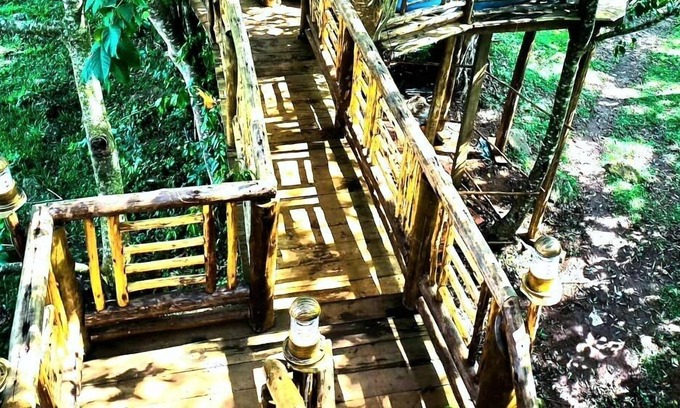 Mukono House | Tree House with a Pool