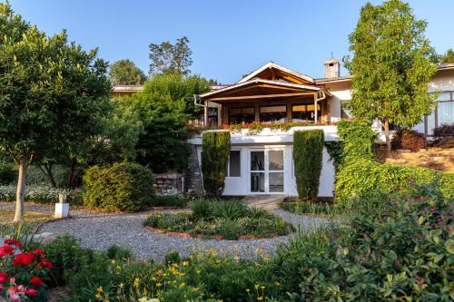 Nainital Resort | Tree of Life Junoon in the Hills Kumaon