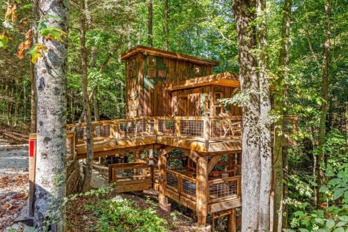 Rogers House | Treehouse - Amazonia - Red River Gorge KY