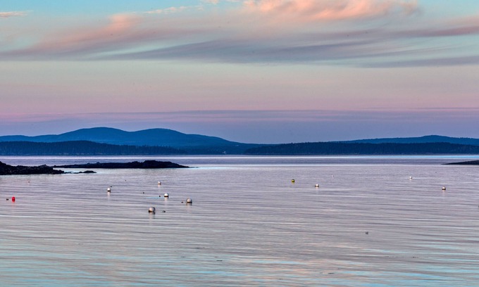 Seal Harbor Cottage | Two-Level Unit w/Patio, Deck, Firepit, Private Washer/Dryer, and Free WiFi