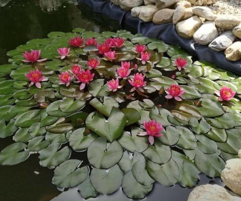 Plumlov Apartment | Ubytování v Plumlově