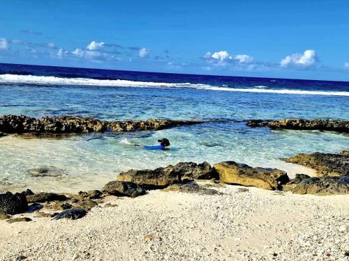 Temae Apartment | Un écrin de paix au soleil et proche de la mer