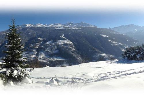 Les Chapelles Ski Chalet | Une sensation japonaise au coeur de la Savoie !