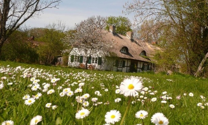 Schaprode House | Vacation home Reethaus Rosengarten and yurt opposite Hiddensee on large property