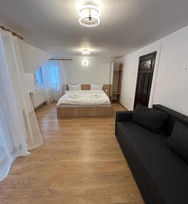 Lupeni House | Vila Artemis Straja