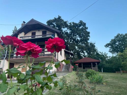 Smederevo Villa | Vila Plavinac