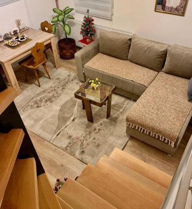 Prijepolje Apartment | Vila Vasilisa