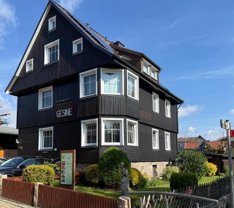 Braunlage House | Villa Gesine