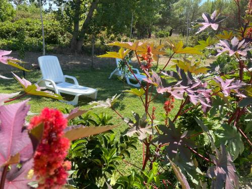 Melendugno Apartment | Villa Laurus