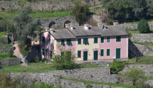 San Rocco Apartment | Villa Olivari - apt la Salvia