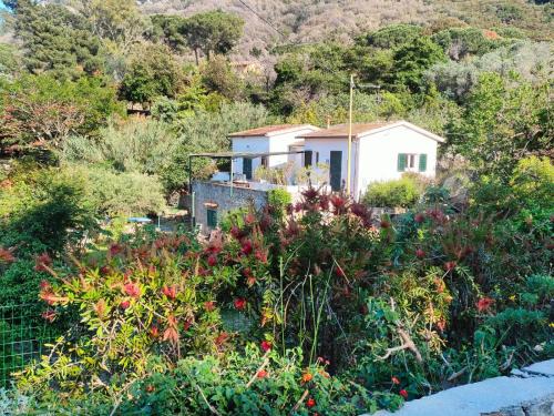 Sant' Andrea Villa | Villetta Sant'Andrea - Goelba