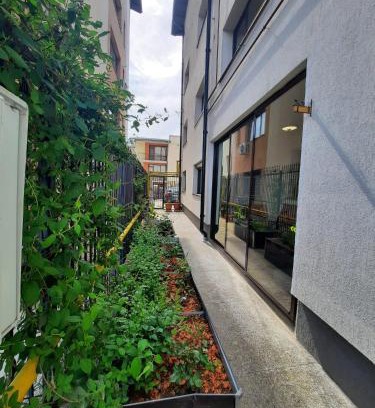 Pitesti Apartment | Welcome!