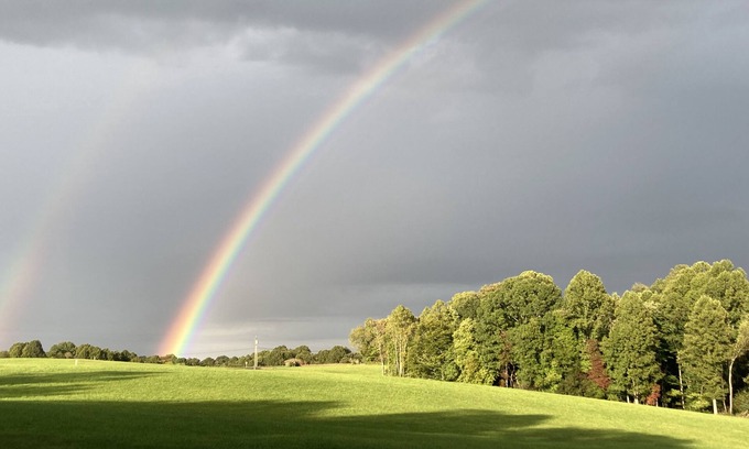 Mt Lookout House | Welcome to The Bee Glade! A 4BR Cabin in the New River Gorge!