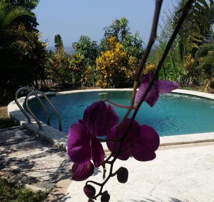 Negara House | West Bali Villas-Umasari Resort