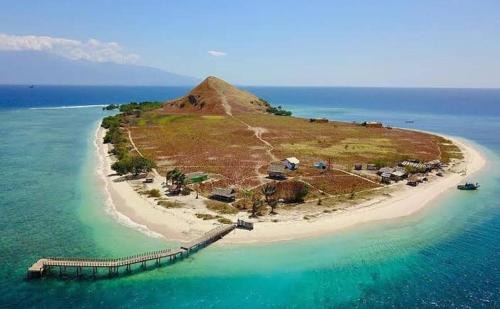 Sumbawa Boat Rental | Whaleshark open trip