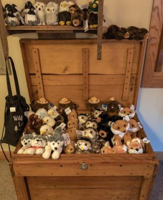 Eagle River House | Wild Eagle Lodge, 1 Bedroom Condo - 103