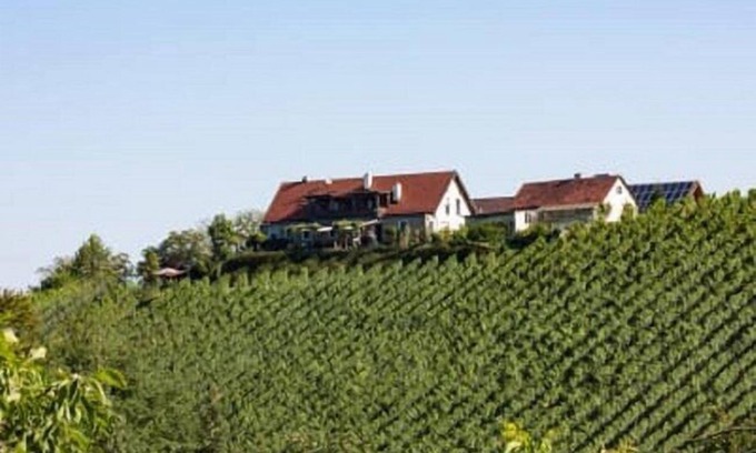 Sankt Johann im Saggautal House | Winzerhof Strablegg