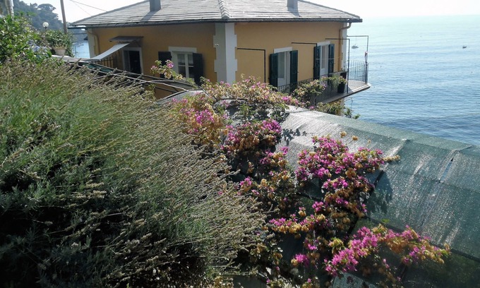 Mortola Villa | Wonderful House with private garden immersed in the park of Portofino.