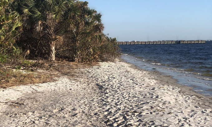 Punta Gorda RV Rental | Wooded land