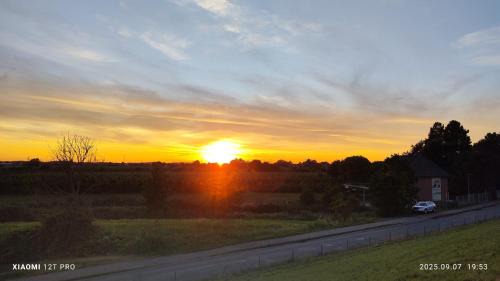 Hollern House | Yanni Häuschen