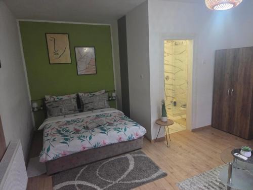 Zrenjanin Apartment | Zen apartman 8