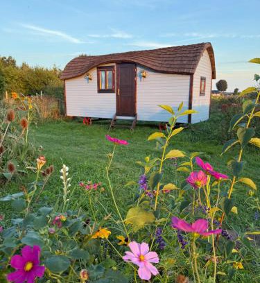 Jantar Resort | Zielona Przystań