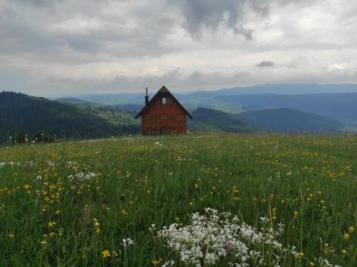 Zlatibor House | Zlatarski raj