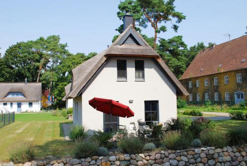 Zirchow House | Zweite Heimat