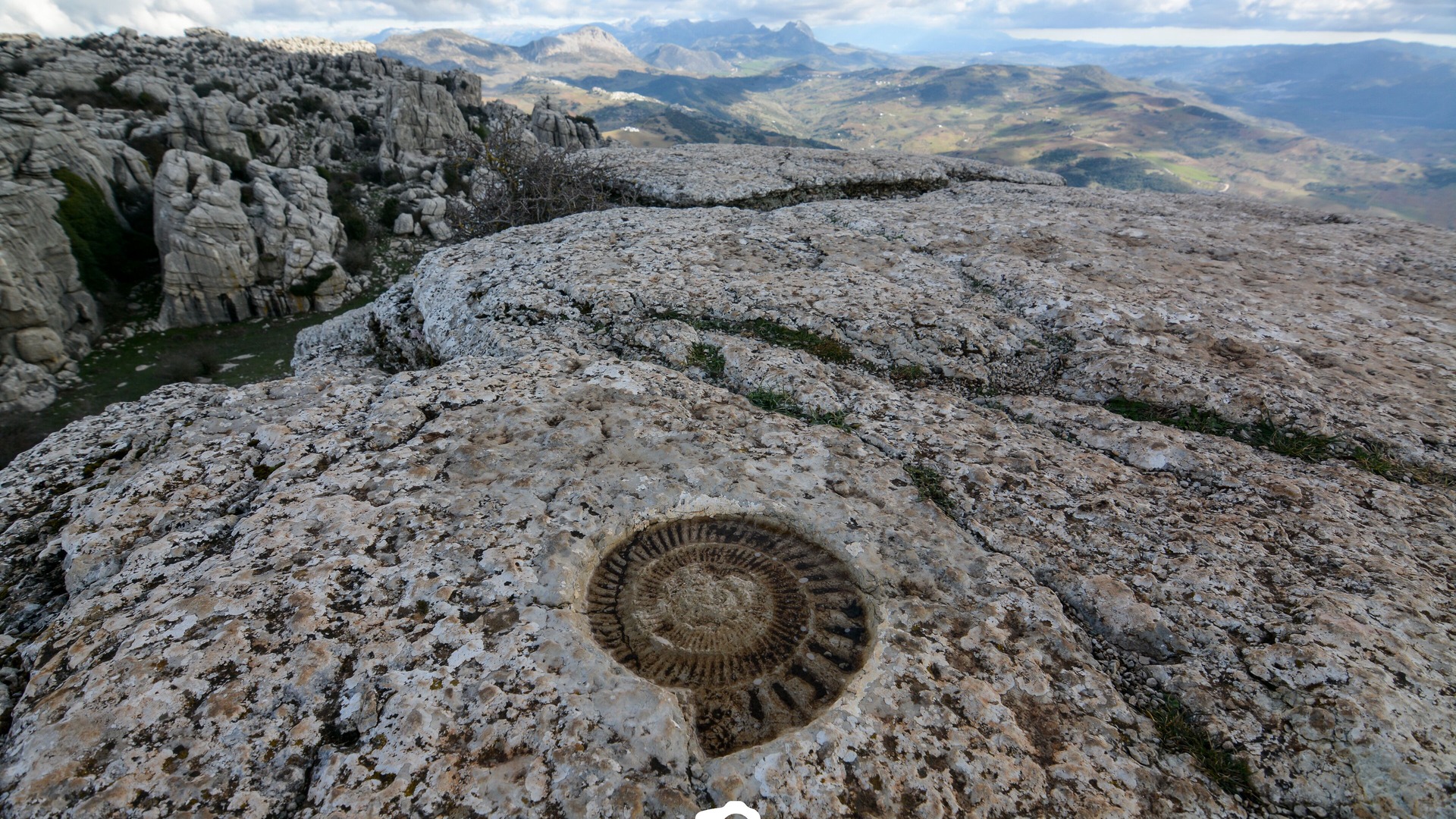 Photo of Outdoor in Alhaurin el Grande