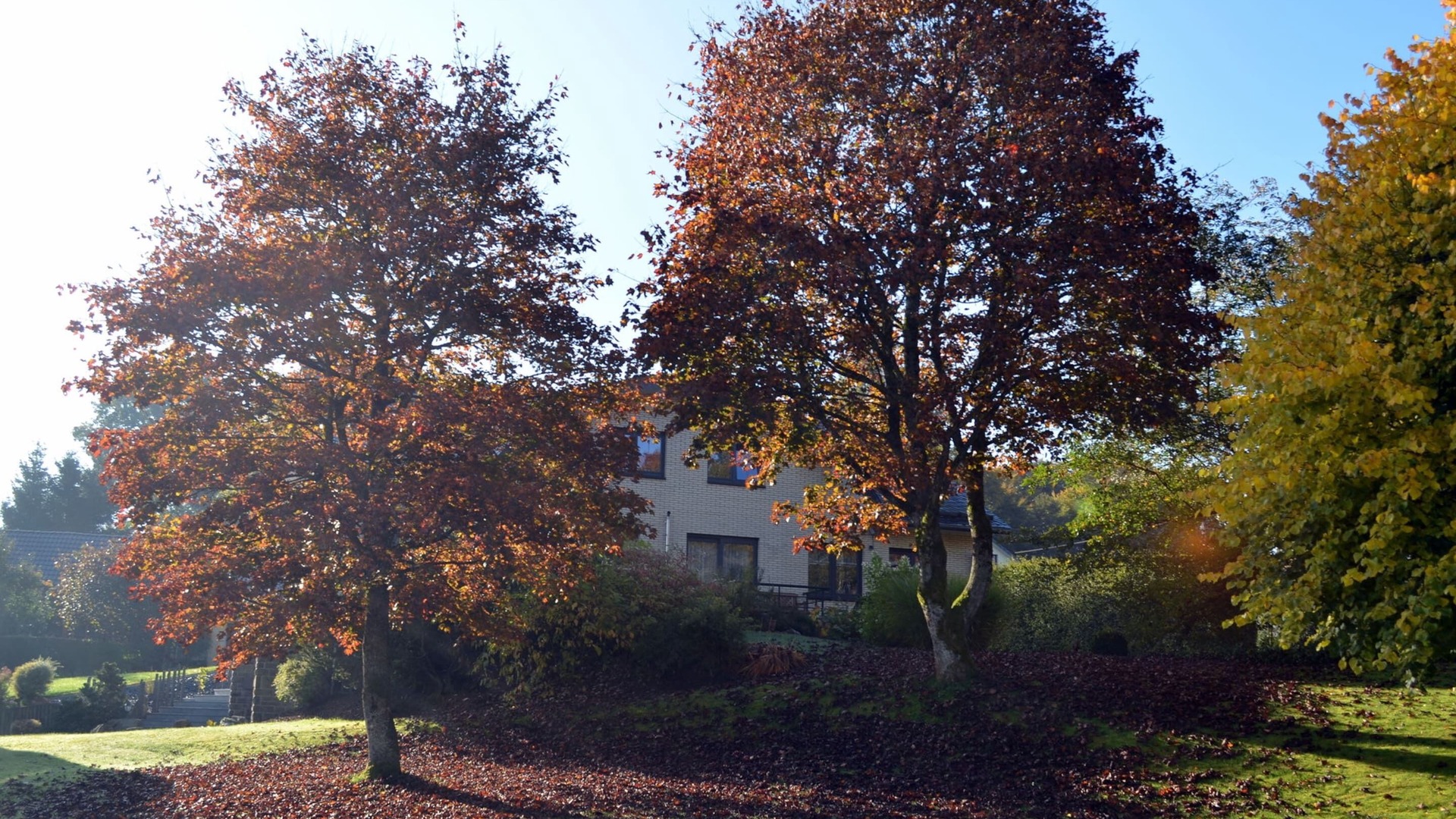 Photo of Outdoor in Weywertz