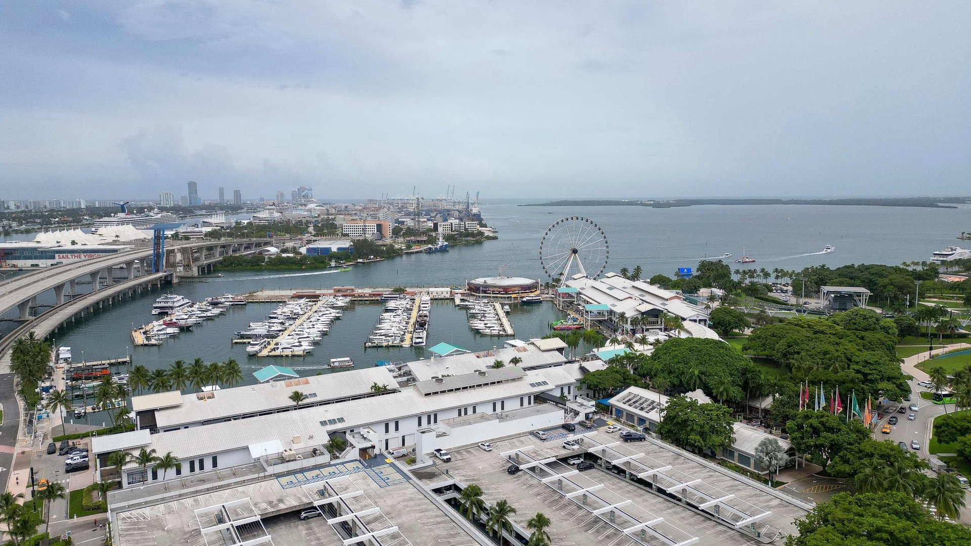 Photo of Others in Downtown Miami