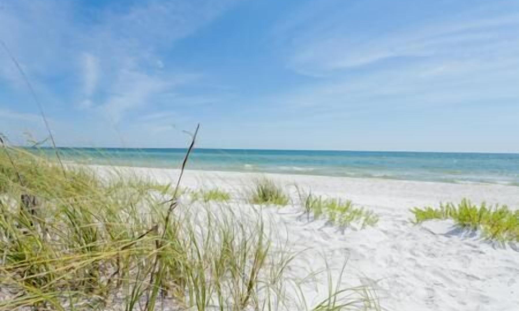 Photo of Outdoor in Mexico Beach