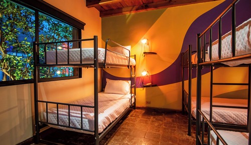 Basic Shared Dormitory