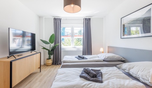 Classic Apartment