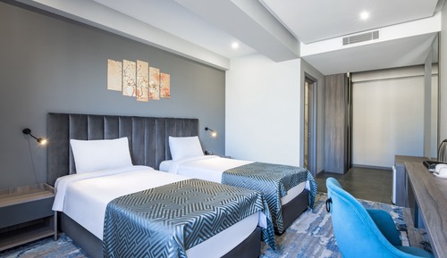 Economy Twin Room