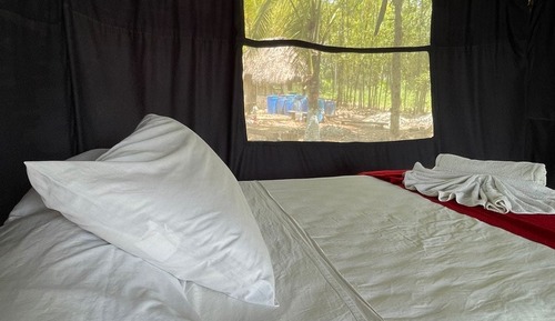 Basic Tent