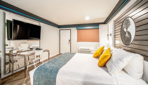 Classic Room, 1 King Bed, Accessible