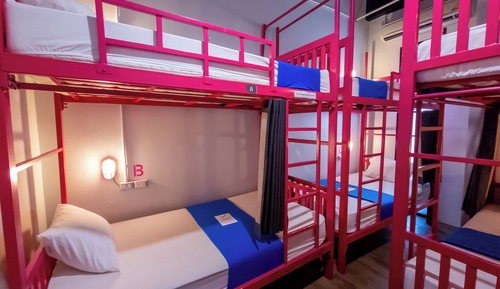 Bed in 6-Bed Bunk Room