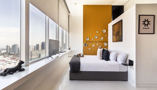 Superior Apartment with city view