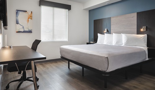 Standard Suite, 1 King Bed with Sofa bed, Accessible