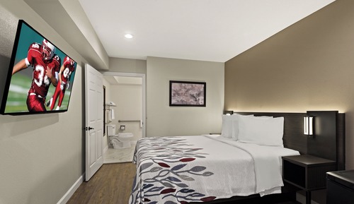 Standard Room, 1 Queen Bed, Roll-in Shower, Non Smoking