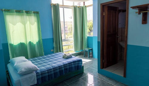 Basic Double Room