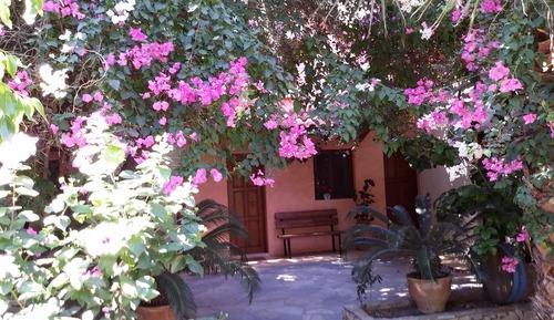 Cottage