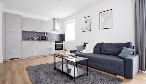 Superior Apartment, 1 King Bed with Sofa bed