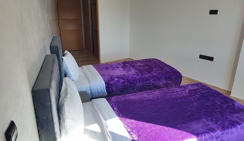 Economy Apartment