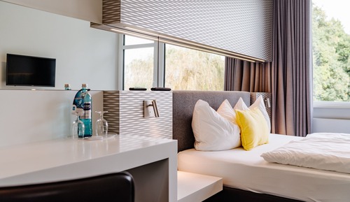 Basic Double Room