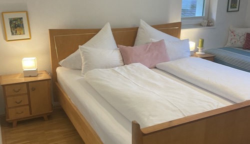 Double Room, Executive Level